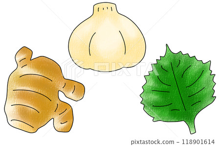 寬鬆簡單的調味料蔬菜套裝模擬風格 118901614