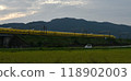 A yellow Shinkansen train racing through the Showa era countryside 118902003