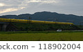 A yellow Shinkansen train racing through the Showa era countryside 118902004