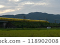 A yellow Shinkansen train racing through the Showa era countryside 118902008