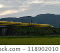 A yellow Shinkansen train racing through the Showa era countryside 118902010
