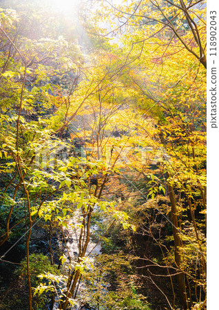 秋季漫步六峽溫泉 118902043