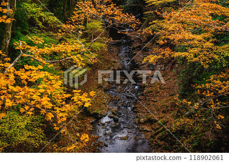 A stroll around Shikayu Onsen in autumn 118902061