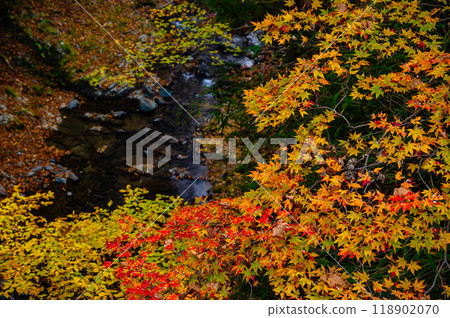 Kakeyu Onsen: Autumn leaves by the water Kakeyu Onsen: Autumn leaves by the water 118902070