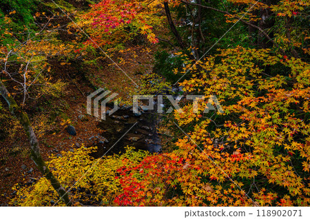 Kakeyu Onsen: Autumn leaves by the water 118902071