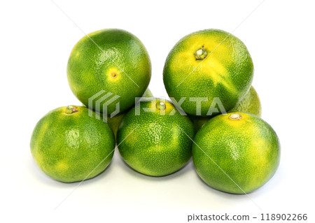 蜜柑（服部早瀨 飾） 118902266