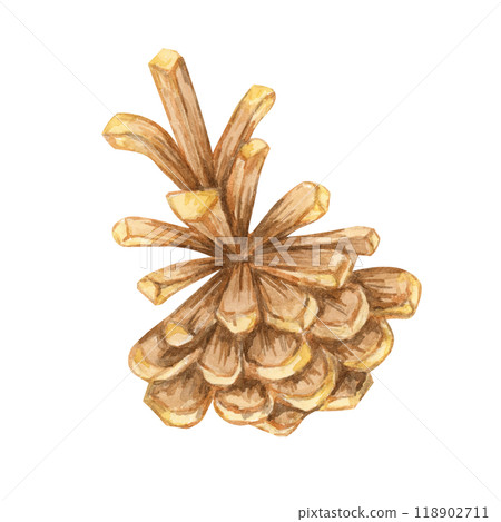 Pine cone watercolor illustration for winter crafts, holiday invitations, and nature-themed decor. Watercolor botanical clipart perfect for enhancing eco-friendly packaging and rustic merchandise Pine cone watercolor illustration for winter crafts, holiday invitations, and nature-themed decor. Watercolor botanical clipart perfect for enhancing eco-friendly packaging and rustic merchandise 118902711
