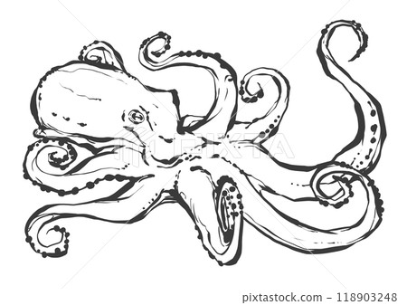 Hand-drawn illustration of an octopus 118903248