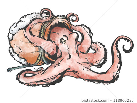 章魚罐和章魚的手寫畫筆繪畫風格插圖 118903253