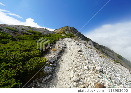 The hiking trail leading to Mt. Shirouma 118903690