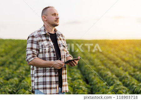 Agronomist farmer uses digital tablet to analyse and check quality control the growth soybeans plants in the field. Smart farming technology and organic agriculture concept. Modern soya agribusiness Agronomist farmer uses digital tablet to analyse and check quality control the growth soybeans plants in the field. Smart farming technology and organic agriculture concept. Modern soya agribusiness 118903718
