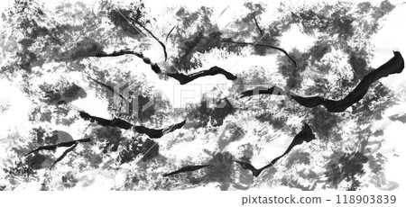 Monochrome illustration of autumn leaves Monochrome illustration of autumn leaves 118903839