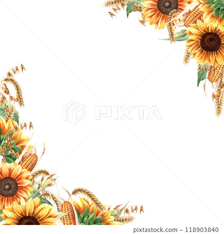 Watercolor square frame with yellow sunflowers, oat branches, ears of wheat, cereal and corncobs. Hand drawn watercolor illustration isolated on white. For greeting card invitation clip art sticker Watercolor square frame with yellow sunflowers, oat branches, ears of wheat, cereal and corncobs. Hand drawn watercolor illustration isolated on white. For greeting card invitation clip art sticker 118903840