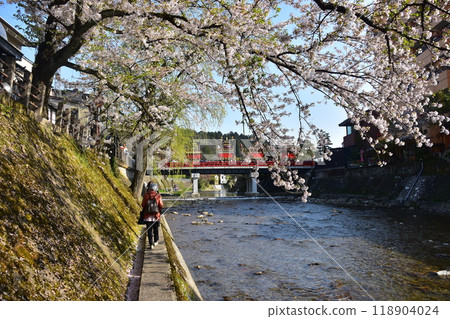 日本岐阜縣高山市，春季高山節，櫻花盛開，中橋美食攤，美麗的宮川河和新鮮的綠樹，遊客在河岸拍照 118904024