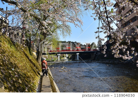 日本岐阜縣高山市，春季高山節，櫻花盛開，中橋美食攤，美麗的宮川河和新鮮的綠樹，遊客在河岸拍照 118904030