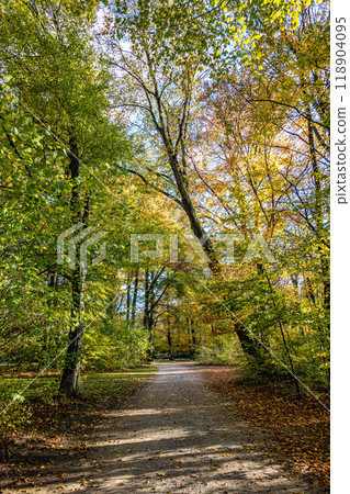 Golden autumn view in famous Munich relax place - Englischer Garten. Munich, Bavaria, Germany Golden autumn view in famous Munich relax place - Englischer Garten. Munich, Bavaria, Germany 118904095