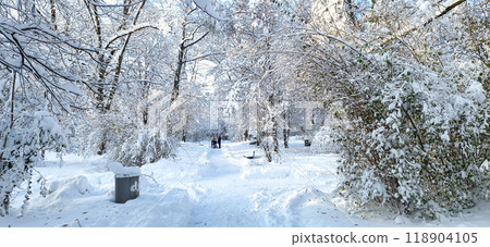 Winter view of famous Old North Cemetery of Munich, Germany with historic gravestones. Winter view of famous Old North Cemetery of Munich, Germany with historic gravestones. 118904105