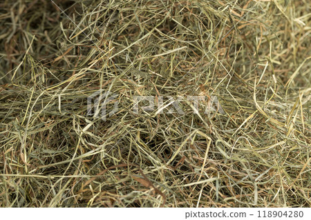Dehydrated Dried Grass for hay production in agriculture 118904280