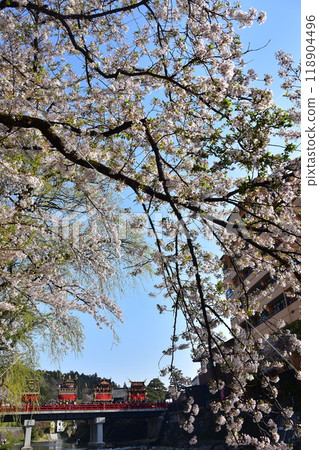 日本岐阜縣高山市，春季高山節，櫻花盛開，中橋上的小吃攤，美麗的新綠，藍天和宮川 118904496