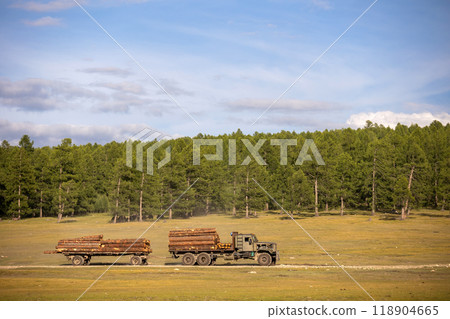 Old russian military truck delivering larch wood from the forest in Mongolia Old russian military truck delivering larch wood from the forest in Mongolia 118904665