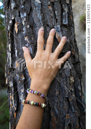 woman hand touching tree textured bark 118905425