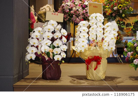 開業慶典鮮花禮品蝴蝶蘭 118906175