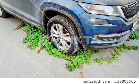 Nature versus machinery: Ivy engulfs car tire, reclaiming urban space, showcasing environmental balance and contrasting with human development 118906569