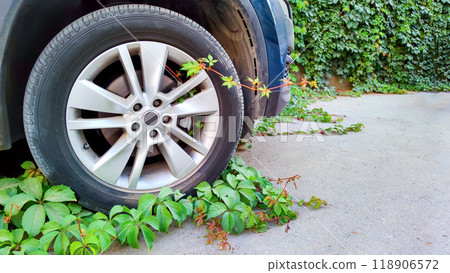 Creeping green plants overtake car tire, embodying nature resilience in urban spaces, contrast with mechanical progress, concept of environmental balance. Creeping green plants overtake car tire, embodying nature resilience in urban spaces, contrast with mechanical progress, concept of environmental balance. 118906572