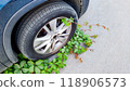 Green plants engulf car tire, symbolizing nature's resilience and urban space reclamation, ivy vs. mechanical, nature versus human progress, environmental equilibrium. 118906573