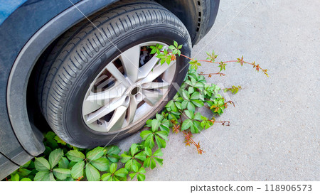 Green plants engulf car tire, symbolizing nature's resilience and urban space reclamation, ivy vs. mechanical, nature versus human progress, environmental equilibrium. Green plants engulf car tire, symbolizing nature's resilience and urban space reclamation, ivy vs. mechanical, nature versus human progress, environmental equilibrium. 118906573