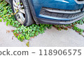 Car tire enveloped by green plants, showcasing nature power to reclaim urban spaces, ivy vs. machinery, contrast of human progress and nature resilience. 118906575