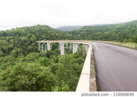 Road leading to the mountain Road leading to the mountain 118906699