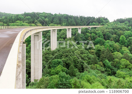 Bridge over forest Bridge over forest 118906700