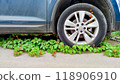 Creeping ivy overtakes car tire, depicting nature reclaiming of urban environments, contrast of mechanical and natural resilience, symbol of environmental stability. 118906910
