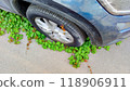 Car tire surrounded by green plants, nature captures urban space, ivy creeping over pavement and wheel, contrast of mechanical and natural elements, environmental concept, top view, close-up. 118906911