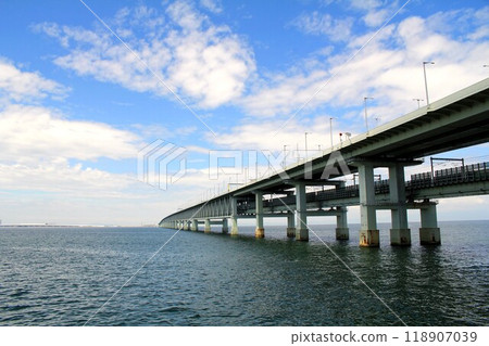 View of the airport connecting bridge from Rinku Park View of the airport connecting bridge from Rinku Park 118907039