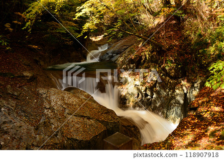 Scenery of Nishizawa Valley waterfall in autumn, beautiful autumn foliage 118907918