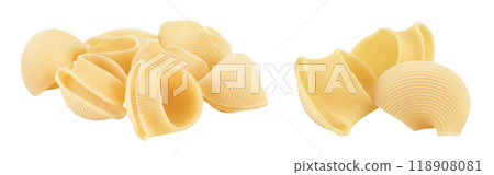 lumaconi pasta isolated on white background with full depth of field lumaconi pasta isolated on white background with full depth of field 118908081