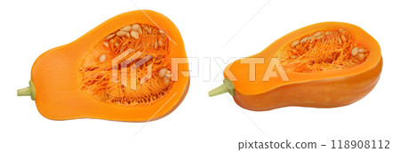 butternut squash half isolated on white background with full depth of field. Top view. Flat lay 118908112