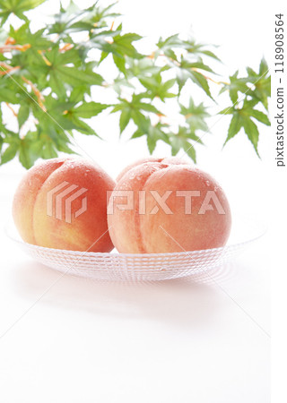 peach  118908564