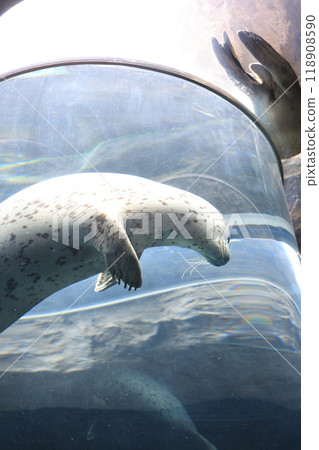 顯示一張臉的印章 118908590