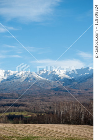 Autumn forest and snowy mountains: Tokachi mountain range Autumn forest and snowy mountains: Tokachi mountain range 118908824