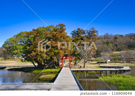 [神奈川縣]嚴島濕地公園 118909849