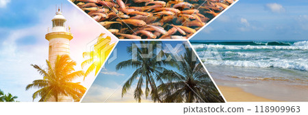Tropical beaches, lighthouse, palm trees, exotic fish and bright sun. Collage. Concept - vacation and travel. 118909963