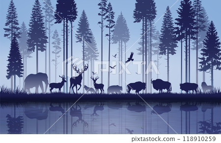Wildlife Harmony in the Forest Wildlife Harmony in the Forest 118910259