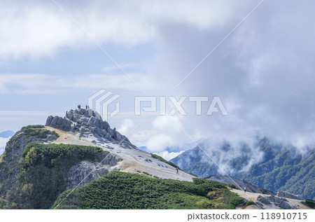 燕子的背影 118910715