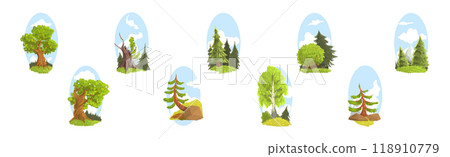 Summer Tree Nature Landscape with Green Forest Vector Set 118910779