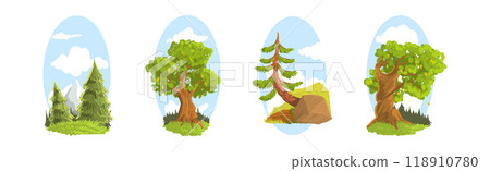 Summer Tree Nature Landscape with Green Forest Vector Set 118910780