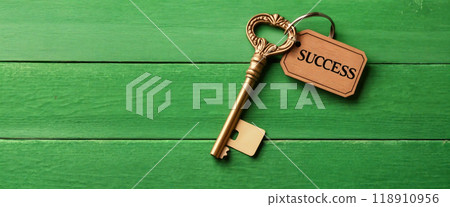 Golden key to success resting on green rustic wooden background 118910956