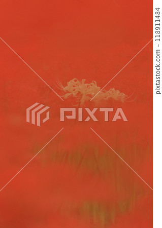 Higan Hana, Fuchu City Local Forest Museum, Tokyo Higan Hana, Fuchu City Local Forest Museum, Tokyo 118911484